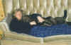 chiot chocolat au repos